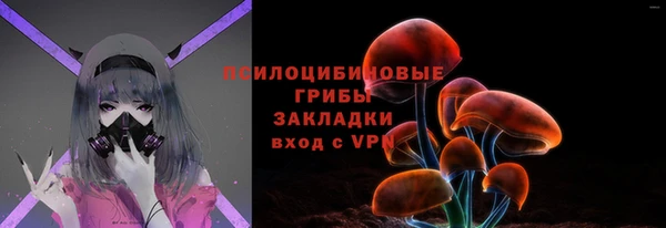 амф Губаха