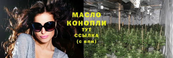 молекула духа Зеленодольск