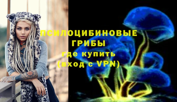 мяу мяу мука Зеленокумск
